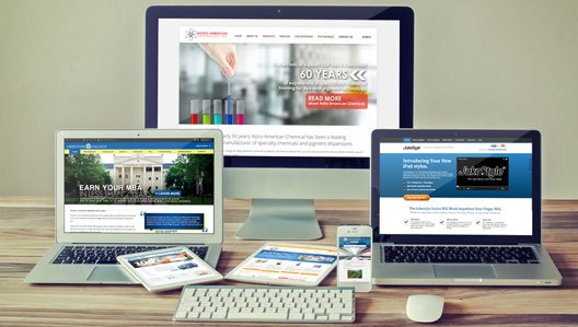 WEB DESIGN TRAINING COURSE(Money Making Skill)
